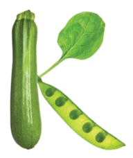 Book an Appointment with Kristen Yarker Nutrition Agency for Registered Dietician