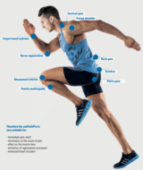 Book an Appointment with emPT Services at VANCITY PHYSIO - Downtown Clinic