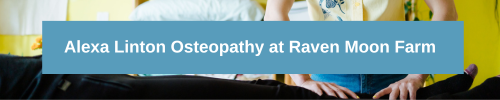 Alexa Linton Osteopathy at Raven Moon Farm